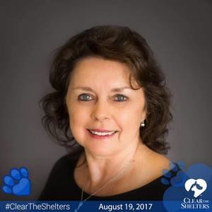 Meet your Posher, Jean